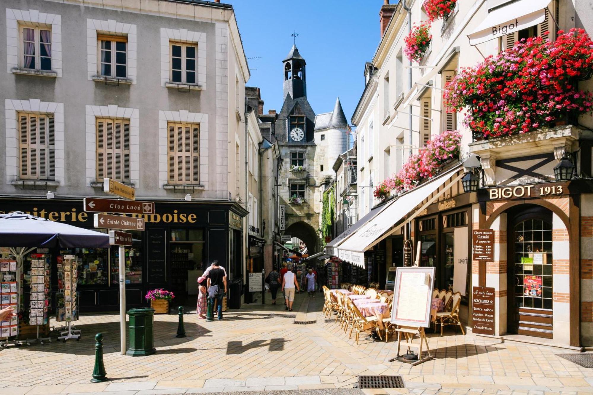 Ferienwohnung Terrasse Sur La Tour Garconnet Amboise Exterior foto